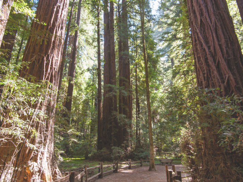 Planning to Spend Time in&nbsp;Nature