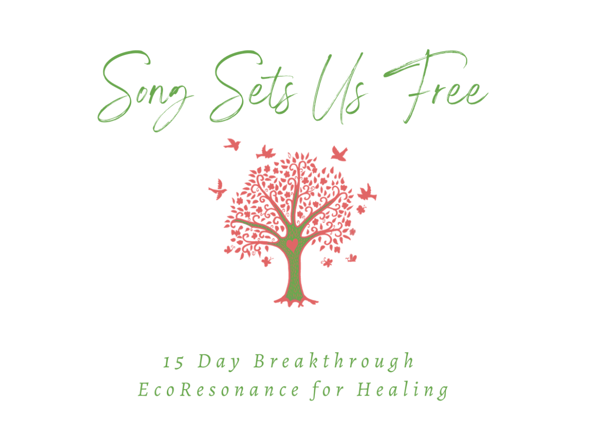 Song Sets Us&nbsp;Free